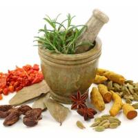ভেষজ ঔষুধ